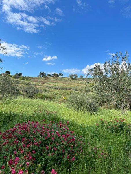 הוילה אגריג'נטו Casa Country מראה חיצוני תמונה
