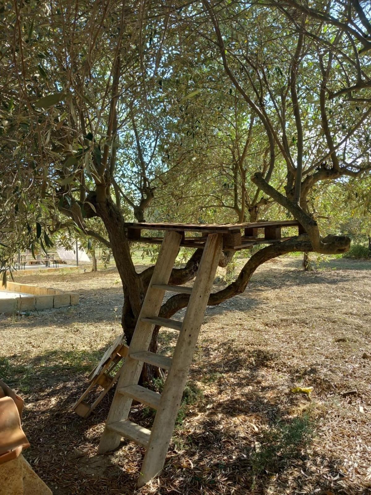 הוילה אגריג'נטו Casa Country מראה חיצוני תמונה
